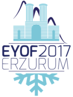 Erzurum 2017